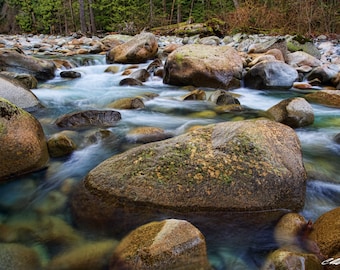 Cantos rodados y Creek