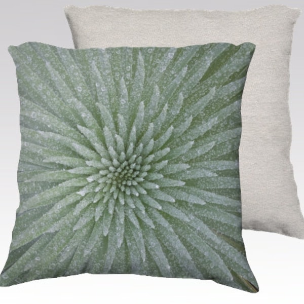 Silversword Photographic Pillow (18" x 18" and 22" x 22")