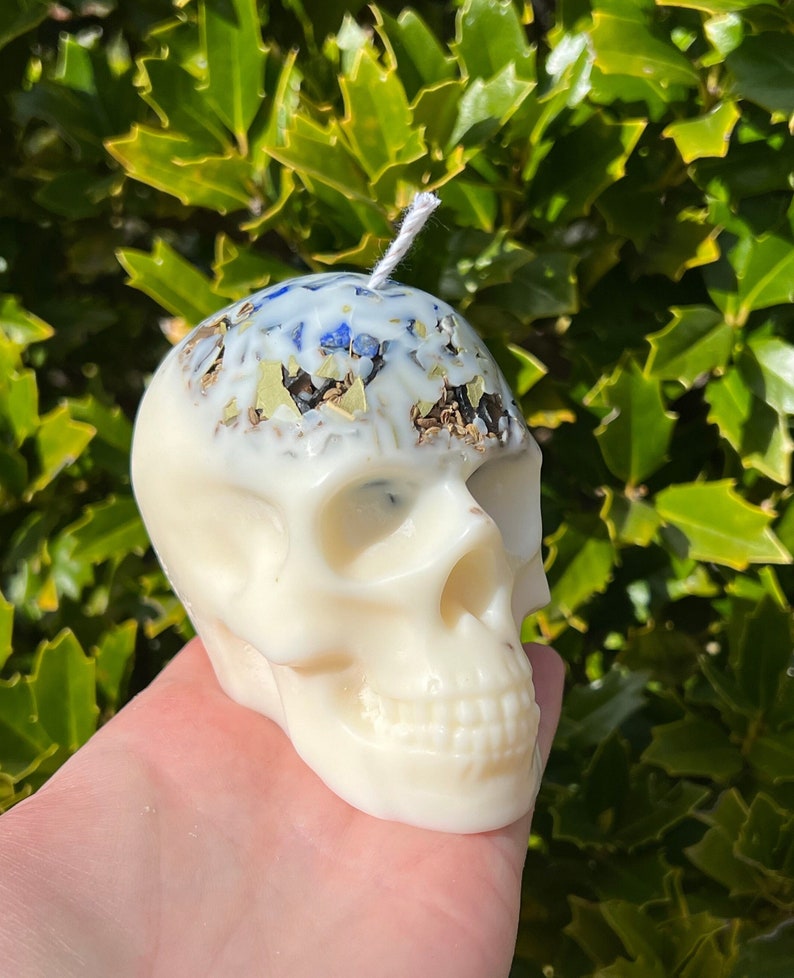 Witches Shield of Protection Herbal Intention Large Skull Crystal Candle Ritual Altar Tool Stone Spell Scented Soy Gift Dragons Blood image 1