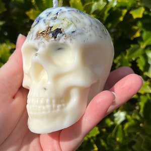 Witches Shield of Protection Herbal Intention Large Skull Crystal Candle Ritual Altar Tool Stone Spell Scented Soy Gift Dragons Blood image 3