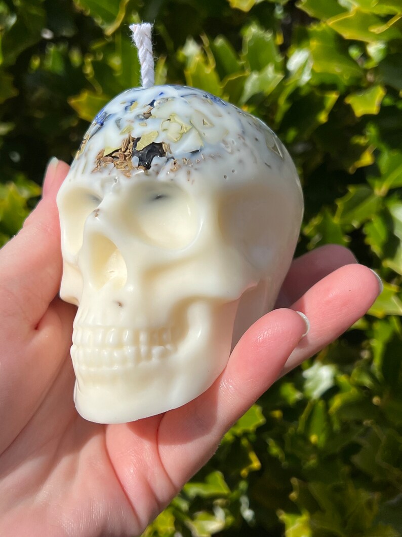 Witches Shield of Protection Herbal Intention Large Skull Crystal Candle Ritual Altar Tool Stone Spell Scented Soy Gift Dragons Blood image 3