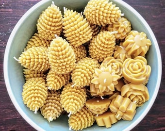 Shortleaf Pinecone Candle | Pure Beeswax & 100% Cotton Wick