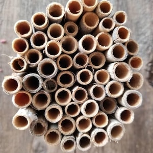 May include: A bundle of natural bamboo tubes, cut to various lengths, creating a honeycomb-like pattern. The tubes are light brown with visible internal cavities, ideal for solitary bee habitats. The image is taken from a top-down perspective.