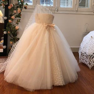 Flower Girl Dress One Shoulder Dress Fairy Wings Sweep Train, Princess Dress Tulle Girl Dress, Flower Girl Dress With Train