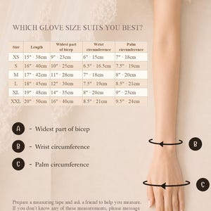 May include: A glove size chart featuring a table with measurements in inches and centimeters for XS to XXL sizes. The chart includes columns for length, bicep, wrist, and palm circumference, with labels A, B, and C indicating measurement points.
