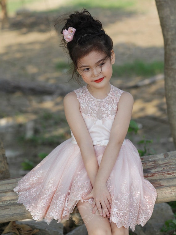 Girl Dress Lace Dresses for Little Girl, Pink Pastel Lace Little Girl Dress,  Princess Flower, Girl Dress 80cm-160cm Dress - Etsy
