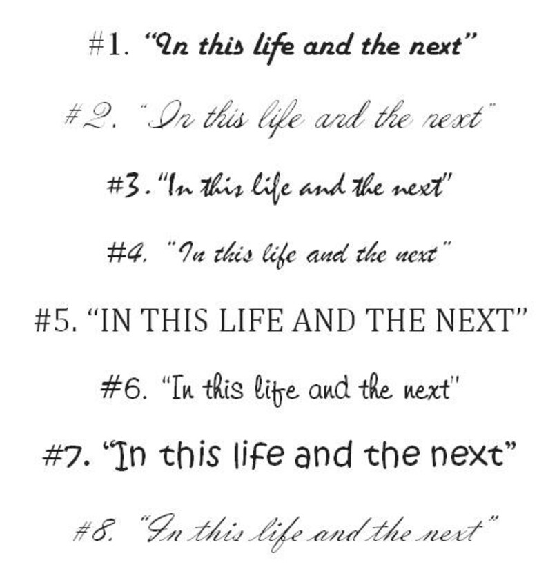 white bridal veil with a delicate lace trim. The veil features the embroidery text "In this life and the next" in a script font. Wedding Veil text embroidery custome