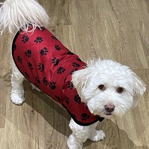 Può includere: Un cane bianco che indossa un cappotto rosso per cani con impronte di zampe nere. Il cappotto è trapuntato e ha un bordo nero.