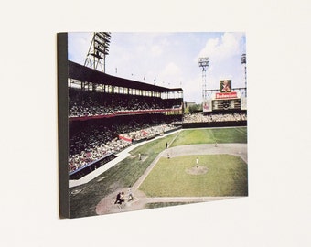 Stan Musial Batting at Sportsman's Park - Circa 1950's Color Photo - Sports Wood Wall Panel