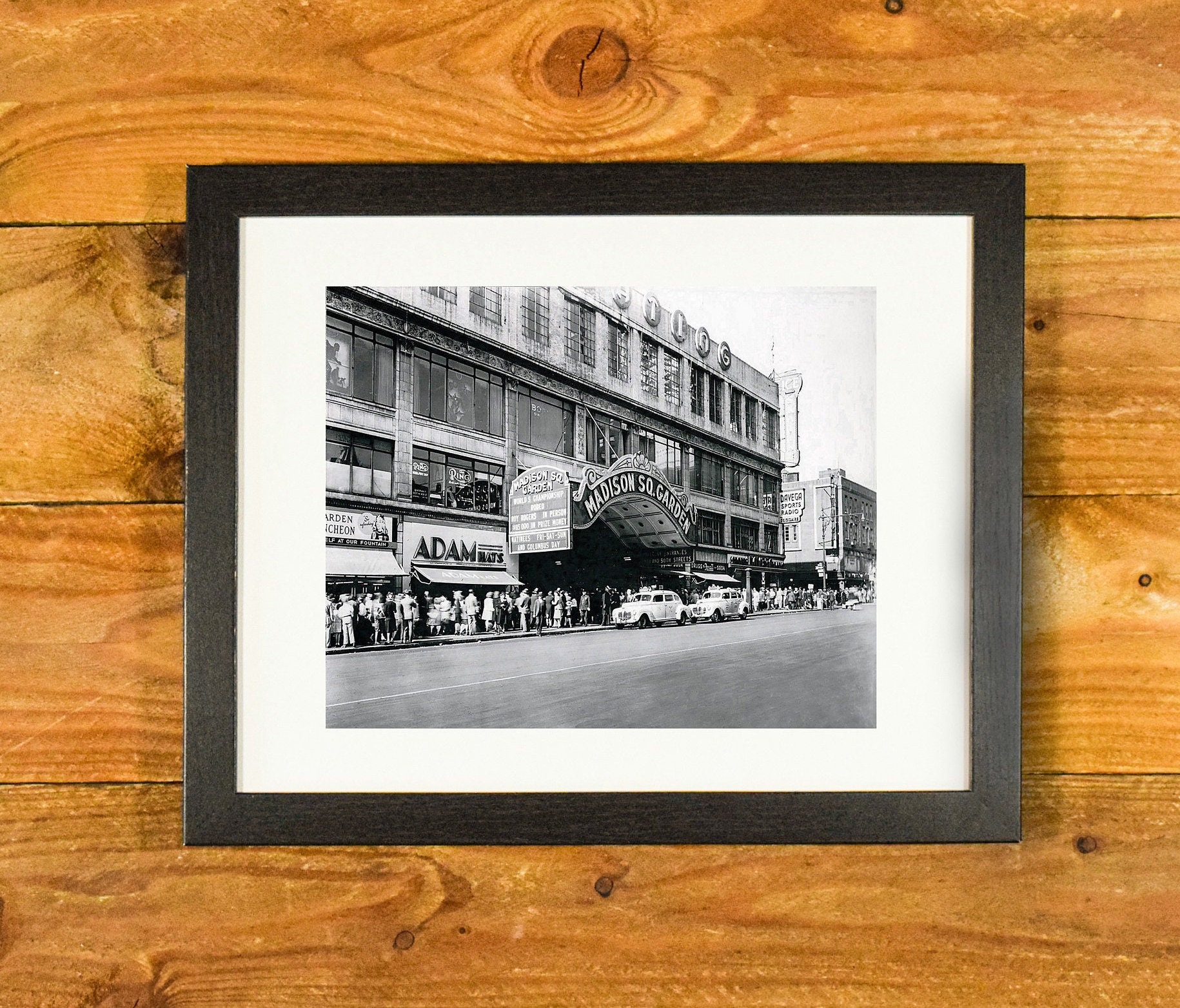 gallery photo