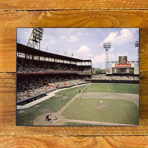 Stan Musial Batting at Sportsman&#39;s Park - Circa 1950&#39;s Color Photo - Sports Wood Wall Panel