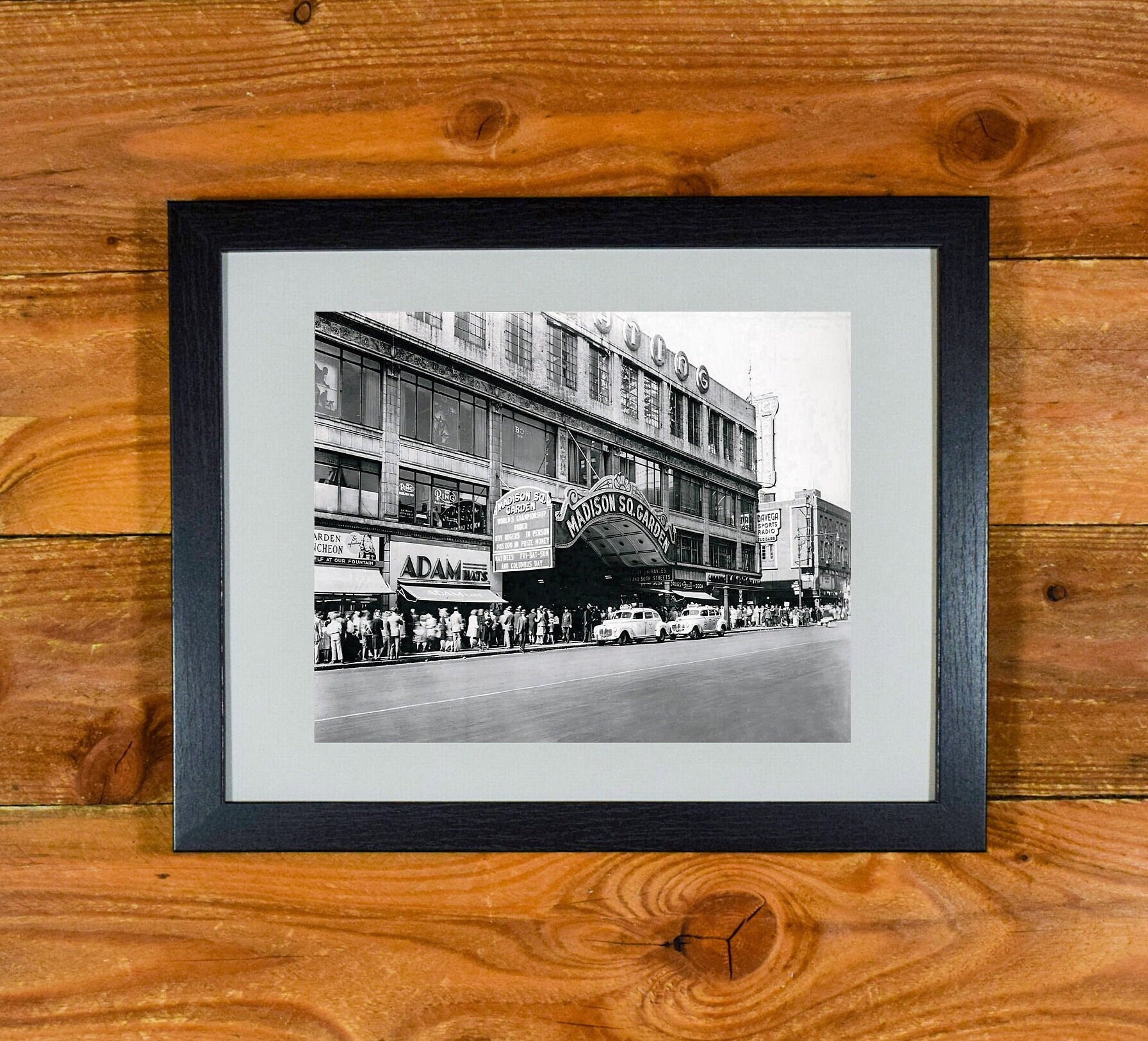 gallery photo