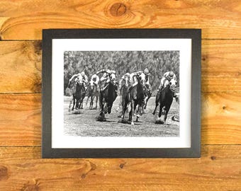 Action Photo - Thoroughbred Horse Racing at Gulfstream Park Race Track - Framed Sports Room Wall Hanging