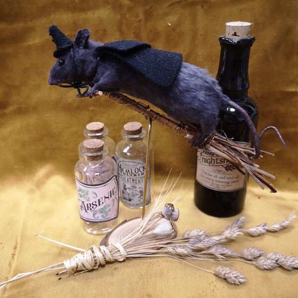 Little witch mouse taxidermy