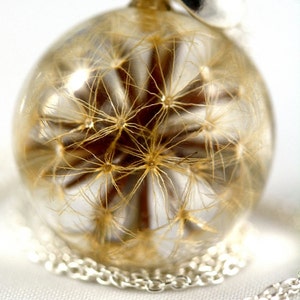 Pendant with real dandelion of autumn hawkbit (Leontodon autumnalis) in the resin sphere on a silver chain. Sphere 2 cm. Chain 45 cm.