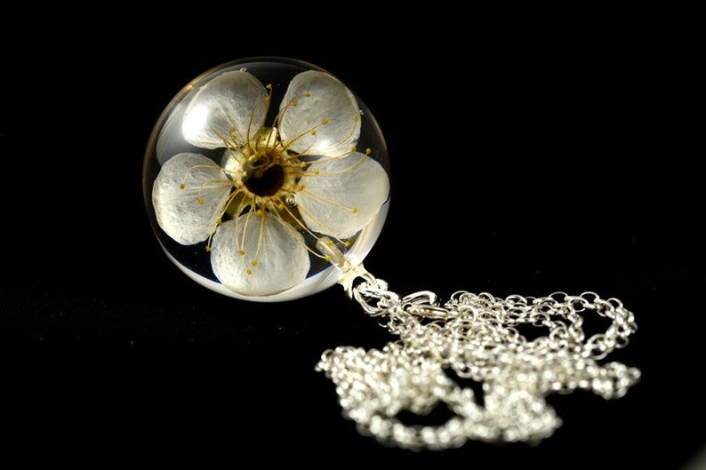 in the resin ball on a silver chain Pendant with natural white cherry flower Chain 80 cm. Sphere 3 cm Prunus sp.