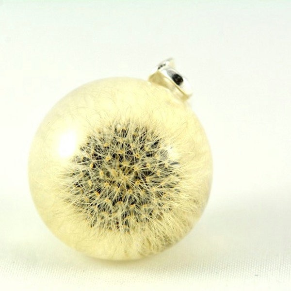 Dandelion Pendant, Resin Silver Pendant, Pendant with Mouseear Hawkweed (Hieracium pilosella) in Resin Sphere, No Chain Pendant, Delicate