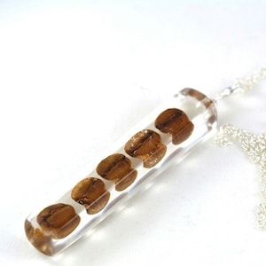 Coffe Beans Pendant, Pendant with Real Coffe Beans in Rein, Resin Jewelry, Clear Resin, Sterling Silver, Pendant Length 7 cm, Chain 80 cm