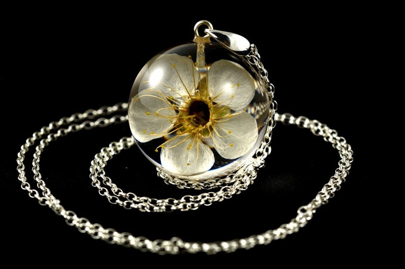 in the resin ball on a silver chain Pendant with natural white cherry flower Chain 80 cm. Sphere 3 cm Prunus sp.