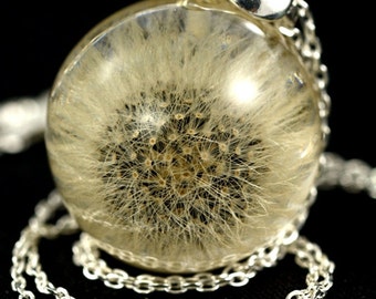 Small Dandelion Pendant, Resin Silver Pendant, Pendant with Hawkweed (Hieracium pilosella) in Resin Sphere. Sphere 2 cm. Chain 45 cm.