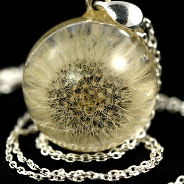 Small Dandelion Pendant, Resin Silver Pendant, Pendant with Hawkweed (Hieracium pilosella) in Resin Sphere. Sphere 2 cm. Chain 45 cm.
