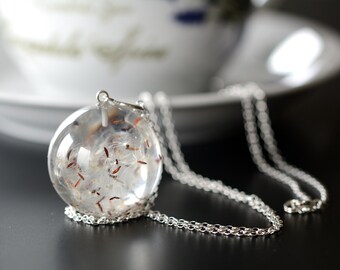 Pendant with Real Seeds of dandelion (Picris hieracioides) in resin Sphere on a Silver Chain. Christmas Gift. Sphere 3.4 cm. Chain 80 cm.