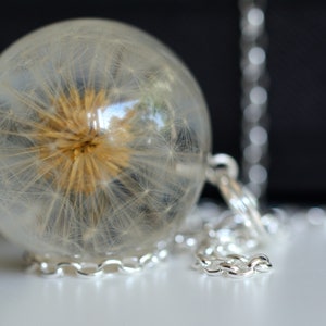 Dandelion Pendant, Resin Jewelry with Real Dandelion Taraxacum officinale, Christmas Gift. Sphere 3.4 cm or 4cm. Chain 80 cm.