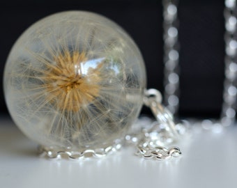 Dandelion Pendant, Resin Jewelry with Real Dandelion Taraxacum officinale, Christmas Gift. Sphere 3.4 cm or 4cm. Chain 80 cm.