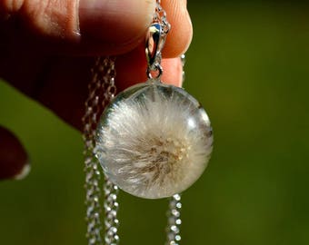 Pendant with real dandelions hawkweed oxtongue (Picris hieracioides) in the resin ball on a silver chain. Sphere 2,5 cm, chain 80 cm.