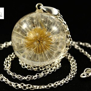 Pendant with real common dandelion (Taraxacum officinale) in the resin sphere on a silver chain. Sphere 3 cm. Chain 80 cm.
