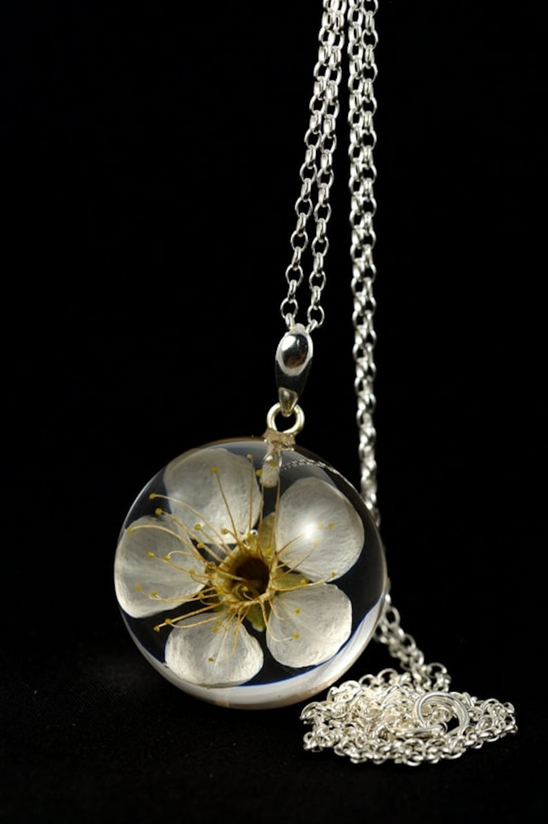 in the resin ball on a silver chain Pendant with natural white cherry flower Chain 80 cm. Sphere 3 cm Prunus sp.