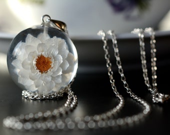 Real Flower Resin Pendant, Ammobium Necklace, White and Yellow Flower Jewellery, Spring Pendant. Sphere 3 cm. Chain 80 cm.