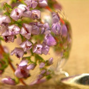 Heather Pendant, Pink Flower, Natural Heather Necklace, Heather Jewelry, Resin Flower Pendant, Silver Pendant, Sphere 2.5 cm, Witchout Chain