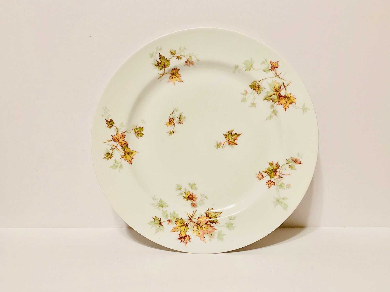 Haviland Limoges Autumn Leaf China Dinner Plate 9 5/8 Etsy