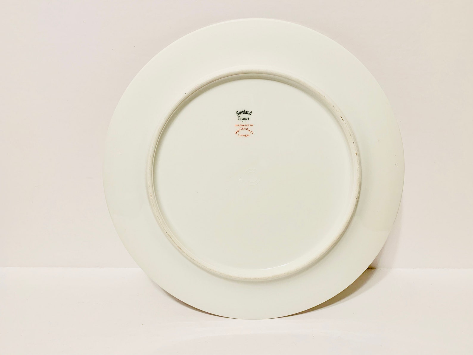 Haviland Limoges Autumn Leaf China Dinner Plate 9 5/8 Etsy