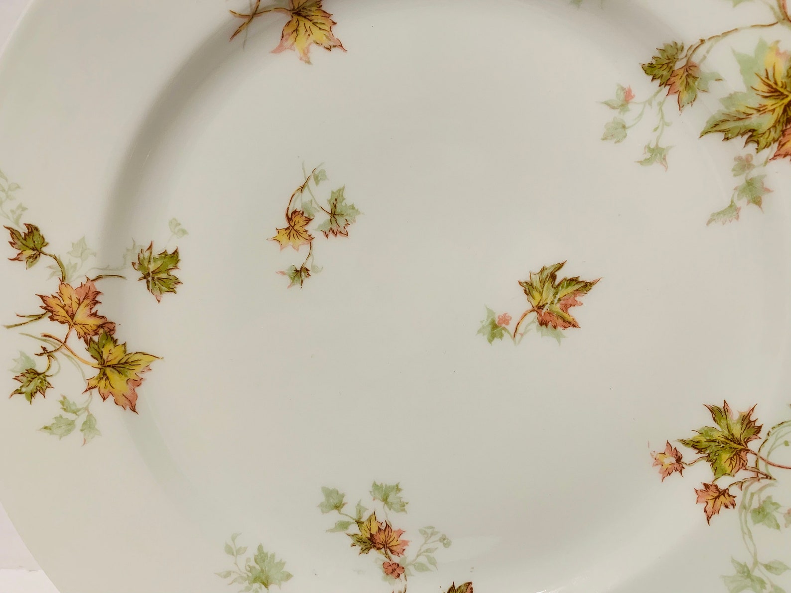 Haviland Limoges Autumn Leaf China Dinner Plate 9 5/8 Etsy