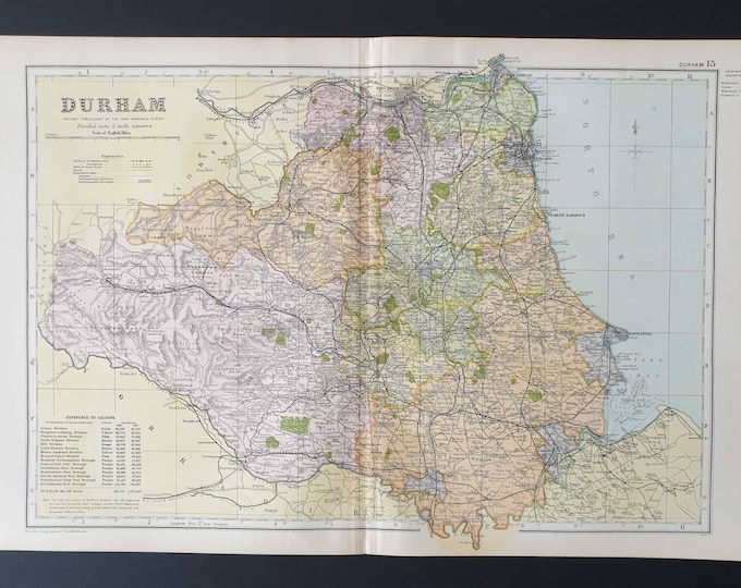 Original 1901 Large Antique County map - Durham