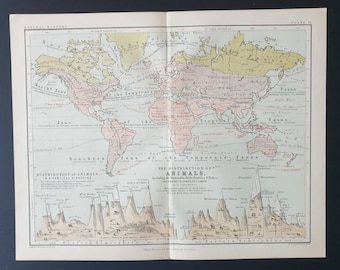 The Distribution of Animals across the World - Original 1877 map
