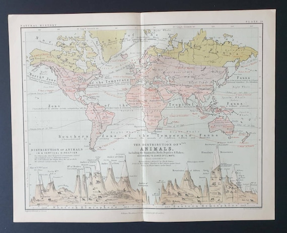 Original 1877 map - The Distribution of Animals  across the World