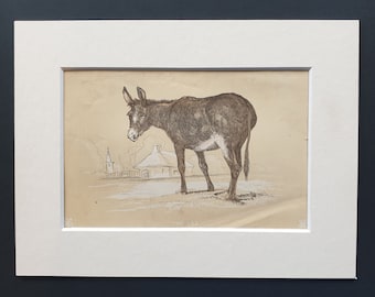 The Ass - Original 1851 John Tallis woodblock print