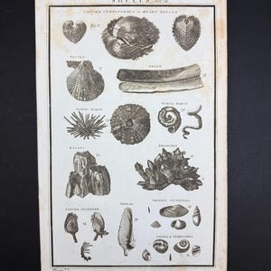 Op de afbeelding: Een set van drie keramische mokken met een gespikkelde, matte afwerking. De mokken zijn in de kleuren crème, lichtgrijs en donkergrijs. Elke mok heeft een eenvoudig, modern ontwerp en een afgeronde handgreep.