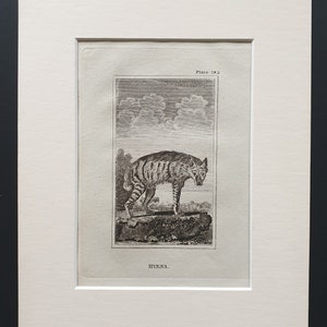 May include: An antique print of a hyena, plate 182, in a white mat. The black and white etching depicts a hyena standing on a rock with a landscape background. The word "HYENA" is printed below the image.