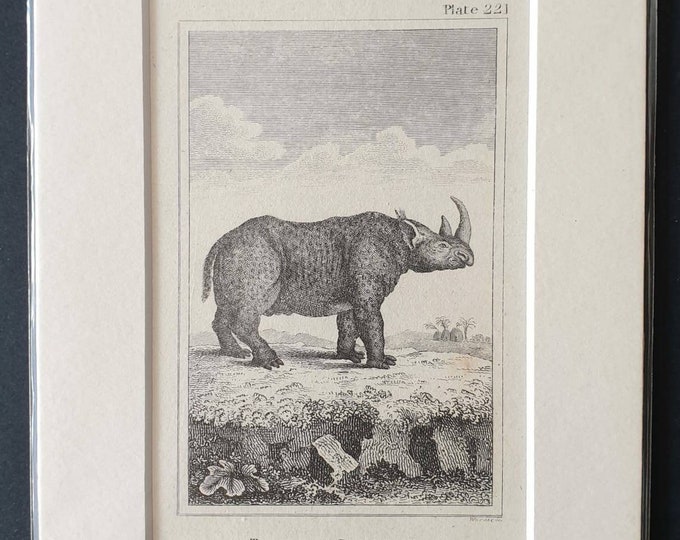 Original 1812 Buffon print - Two Horned Rhinoceros