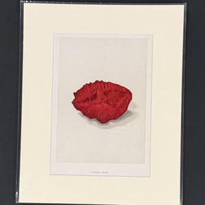 Op de afbeelding: Een witte keramische mok met een zwart handvat en de tekst "But First, Coffee" in een zwarte, handgeschreven lettertype. De mok staat op een wit oppervlak.