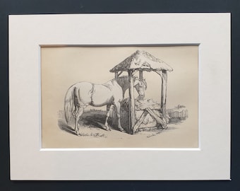 The Horse - Original 1851 John Tallis woodblock print