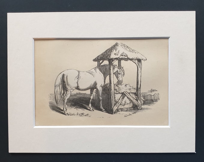 The Horse - Original 1851 John Tallis woodblock print