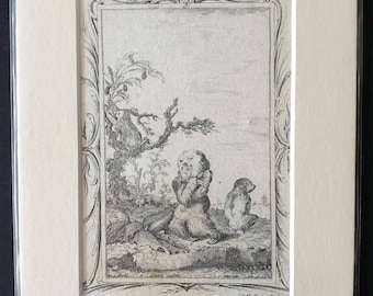 Young three toed Sloths - Original 1791 Buffon print