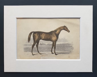 The Racehorse - Original 1851 John Tallis woodblock print