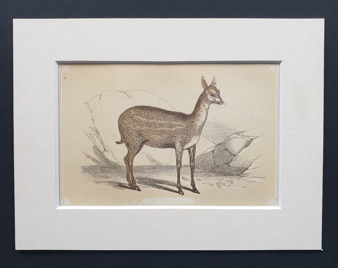 The Meminna - Original 1851 John Tallis woodblock print