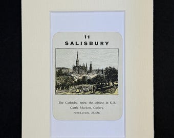 Salisbury - Original Vintage Counties of England Card in Mount